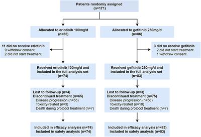 Efficacy and Tolerability of Erlotinib 100 mg/d vs. Gefitinib 250 mg/d in EGFR-Mutated Advanced Non-small Cell Lung Cancer (E100VG250): An Open-Label, Randomized, Phase 2 Study
